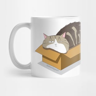 Cat relaxed in box Mug